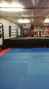 Photo 5 - Boxing Gym